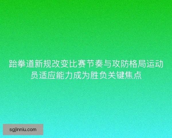 跆拳道新规改变比赛节奏与攻防格局运动员适应能力成为胜负关键焦点