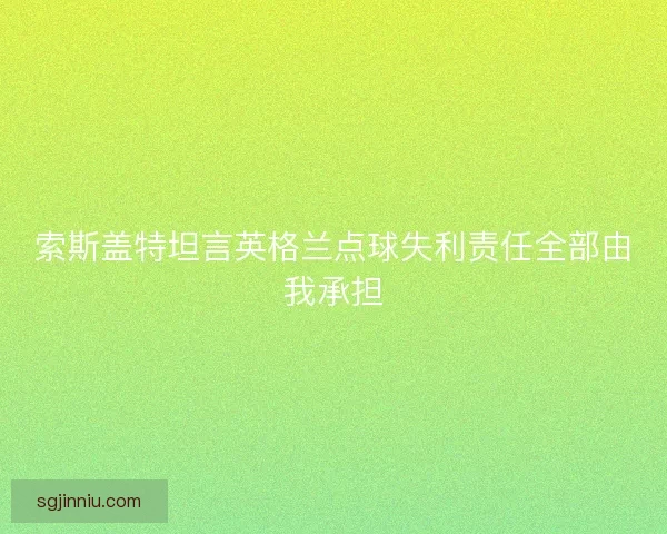 索斯盖特坦言英格兰点球失利责任全部由我承担 索斯盖特坦言英格兰点球失利责任全部由我承担