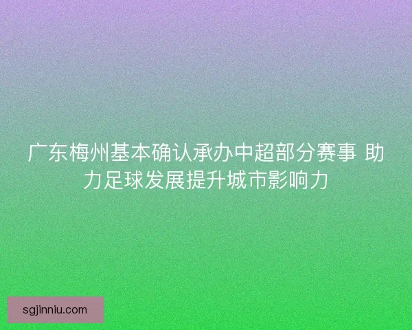 广东梅州基本确认承办中超部分赛事 助力足球发展提升城市影响力 广东梅州基本确认承办中超部分赛事 助力足球发展提升城市影响力